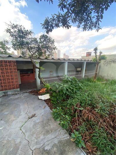 Foto REO308667