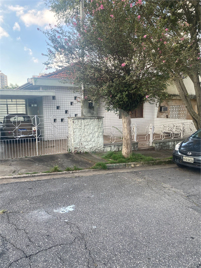 Foto REO308667