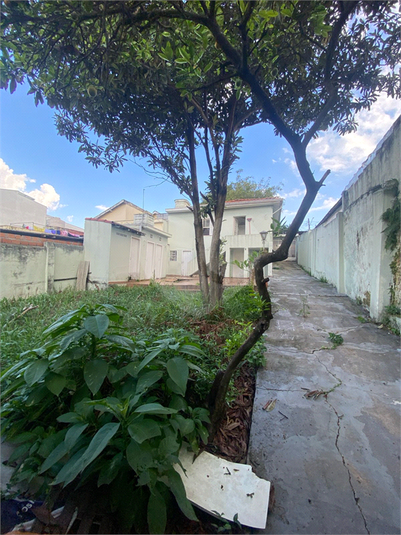Foto REO308667