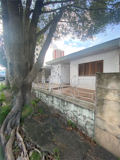 Foto REO308667
