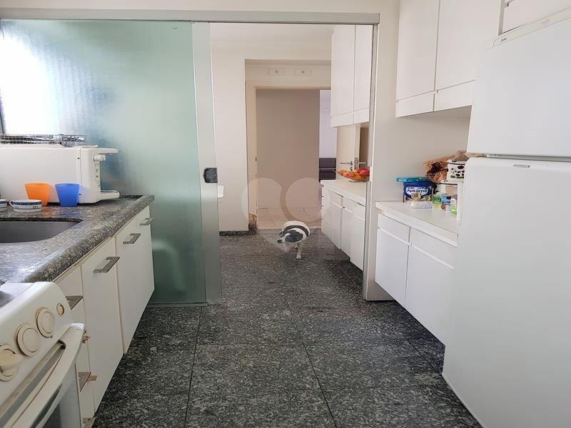 Venda Apartamento São Paulo Santa Cecília REO309387 9