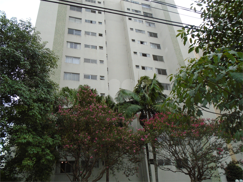 Aluguel Apartamento São Paulo Vila Leopoldina REO309563 24