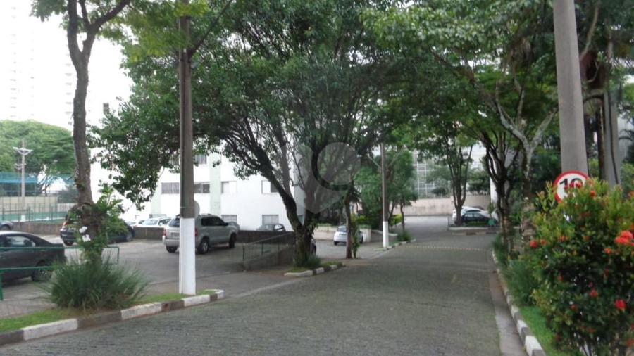 Aluguel Apartamento São Paulo Vila Leopoldina REO309563 21