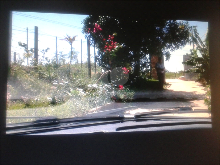 Foto REO309974