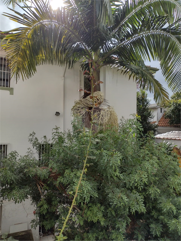 Venda Casa de vila São Paulo Pacaembu REO310688 69