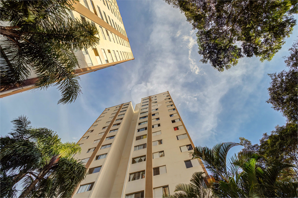 Venda Apartamento São Paulo Santo Amaro REO311567 32