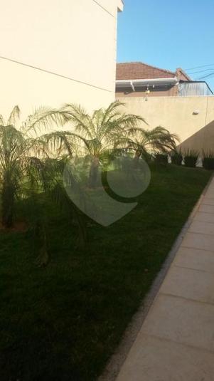 Foto REO311716