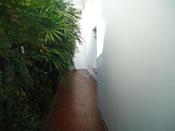 Foto REO312238