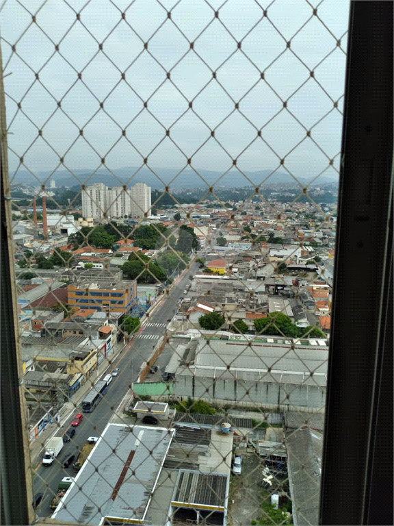 Foto REO312311