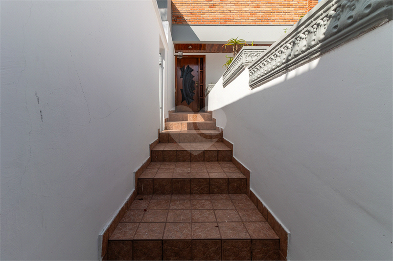 Foto REO312870