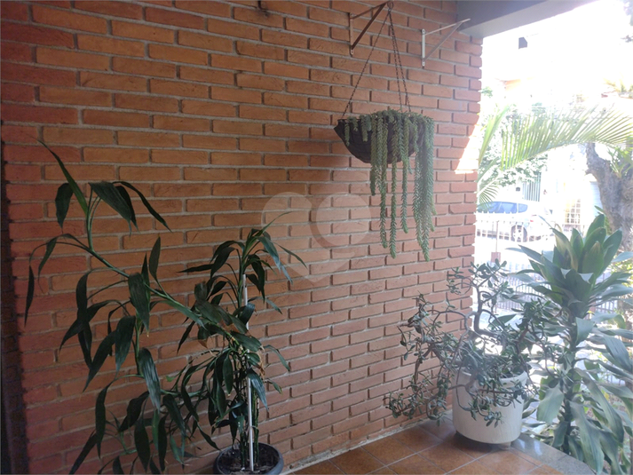 Foto REO313372