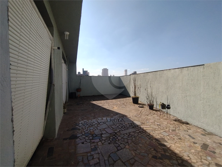 Foto REO313372