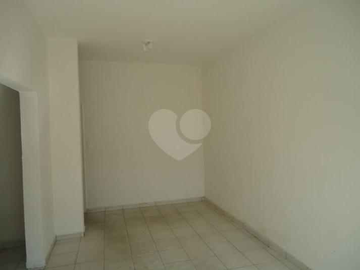 Foto REO31346