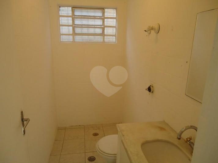 Foto REO31346