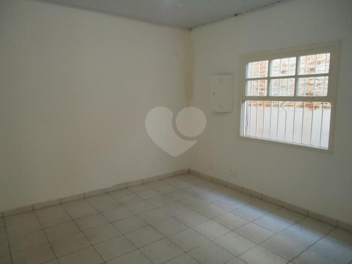 Foto REO31346