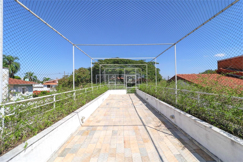 Foto REO313644