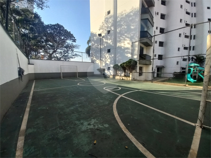 Foto REO313677