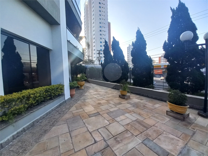 Foto REO313677