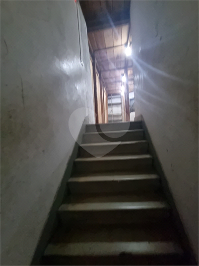 Foto REO313721
