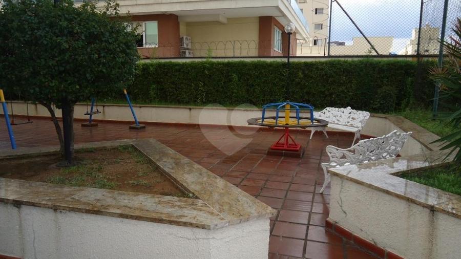 Foto REO313849