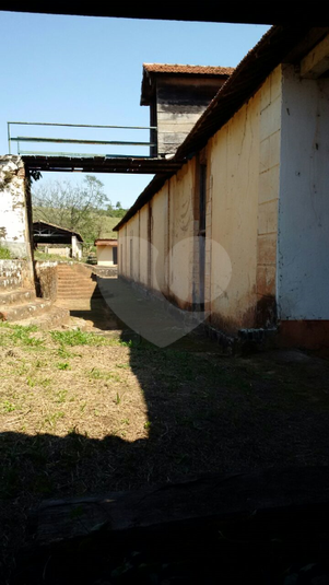 Foto REO314956