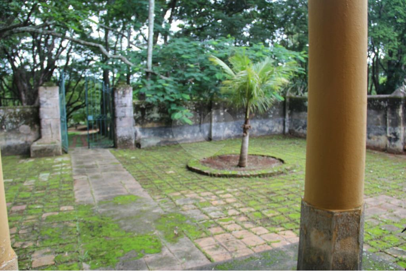 Foto REO314956