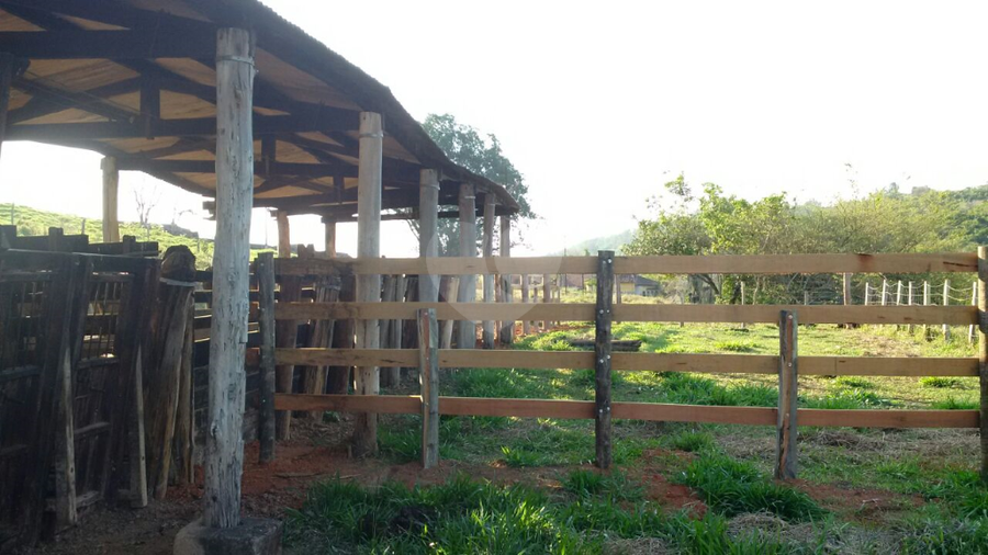 Foto REO314956