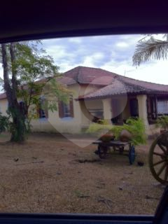 Foto REO314956
