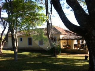 Foto REO314956