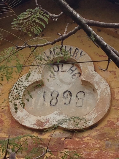 Foto REO314956