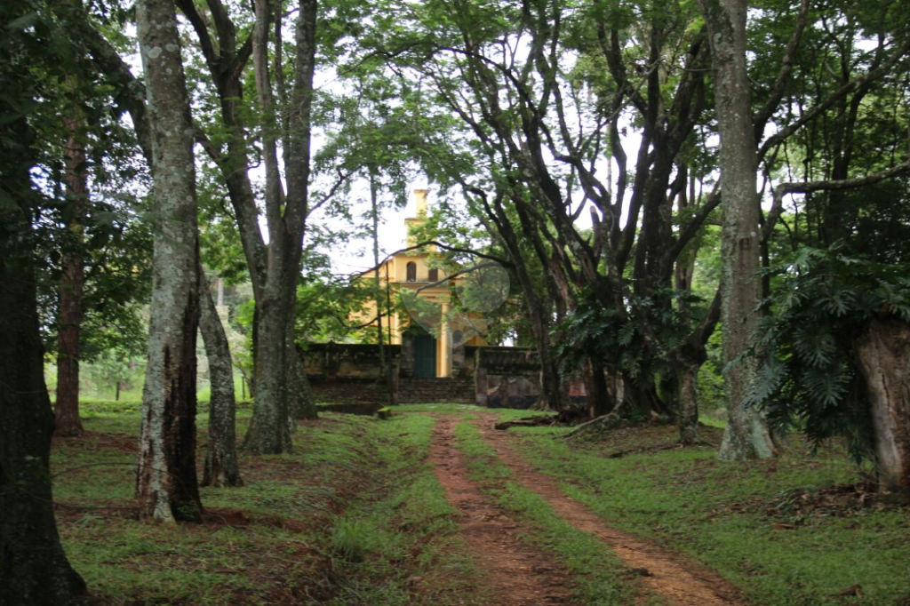 Venda Fazenda Pedreira Centro REO314961 43