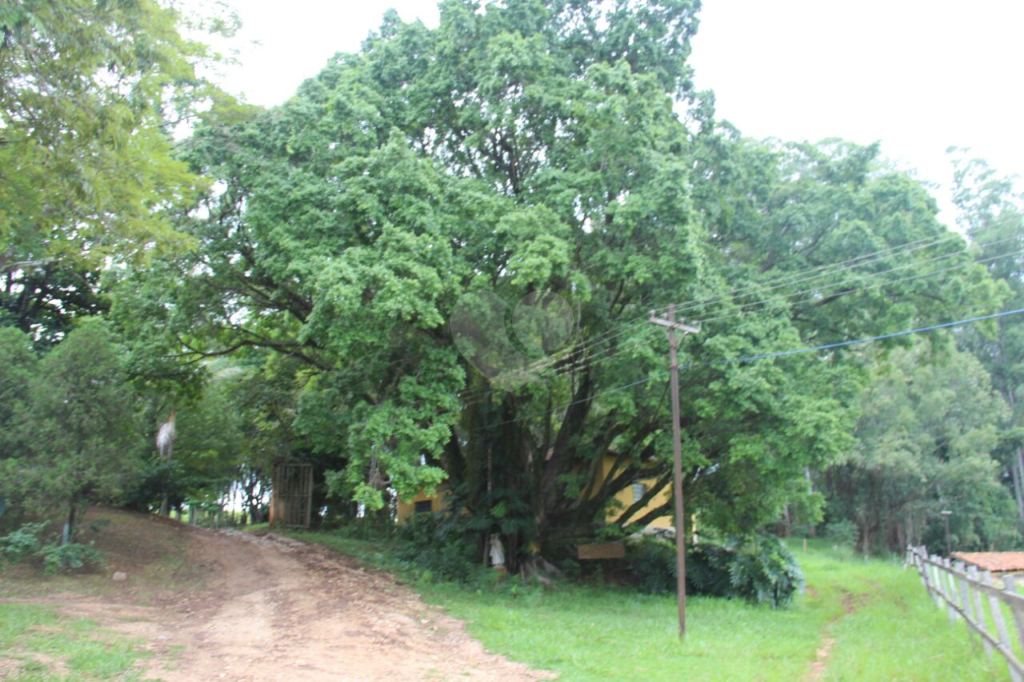 Venda Fazenda Pedreira Centro REO314961 48