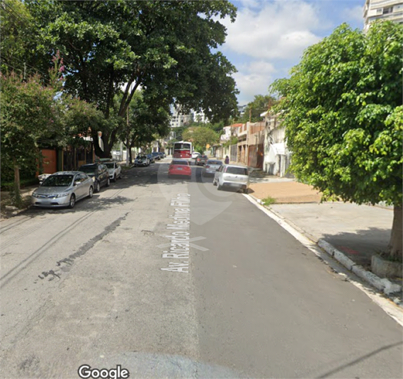 Foto REO315109