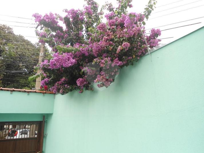 Foto REO315298