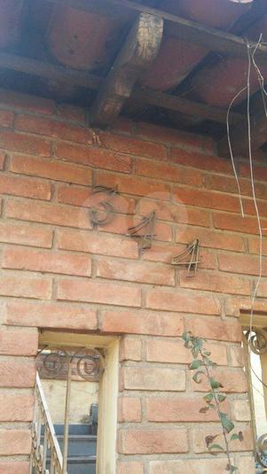 Foto REO31598