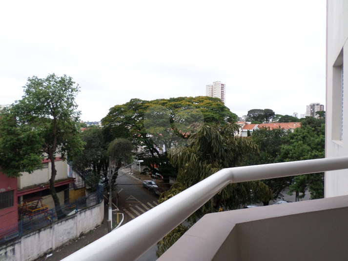 Foto REO31724
