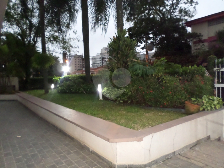 Foto REO31724