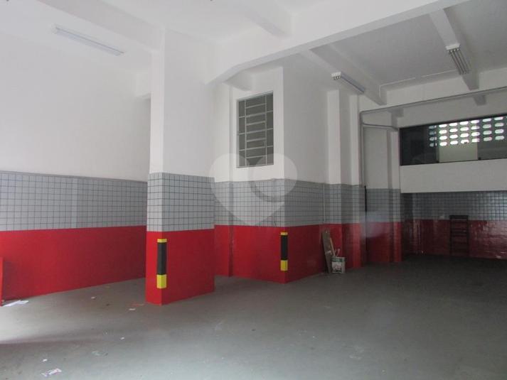 Foto REO317476