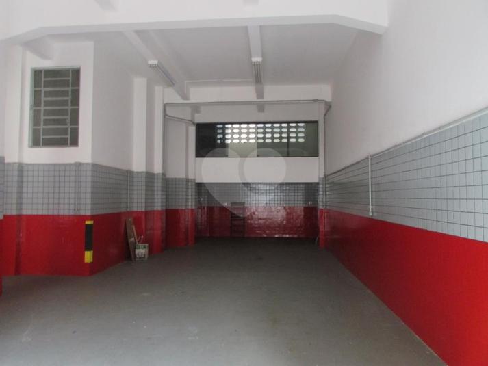 Foto REO317476
