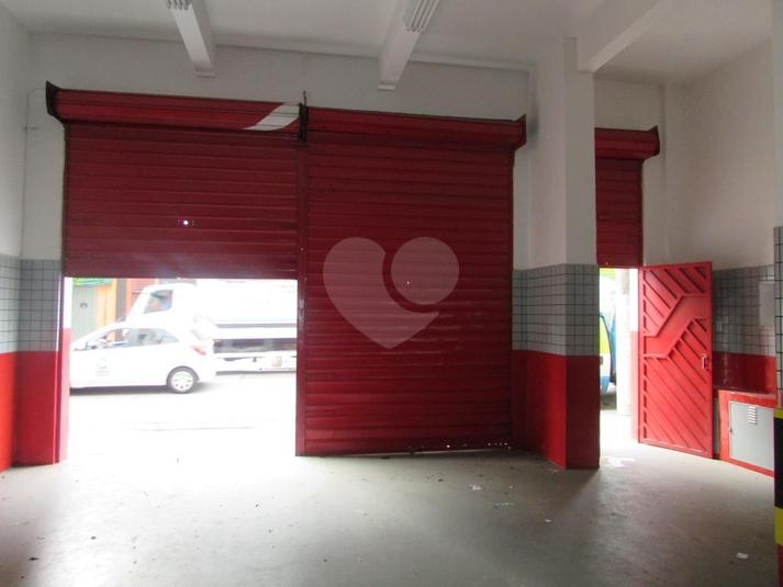 Foto REO317476