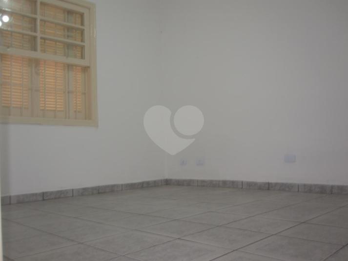 Foto REO317559