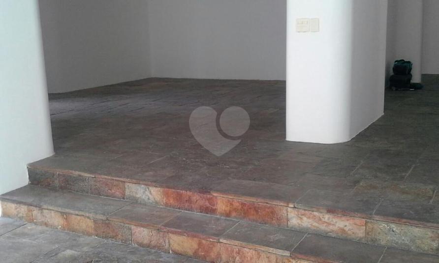 Foto REO317746