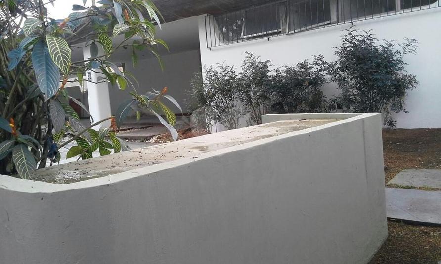 Foto REO317746