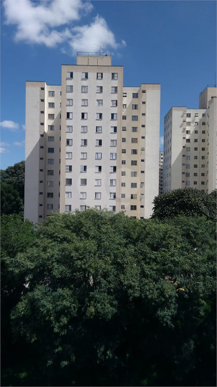 Venda Apartamento São Paulo Vila Nova Cachoeirinha REO318098 18