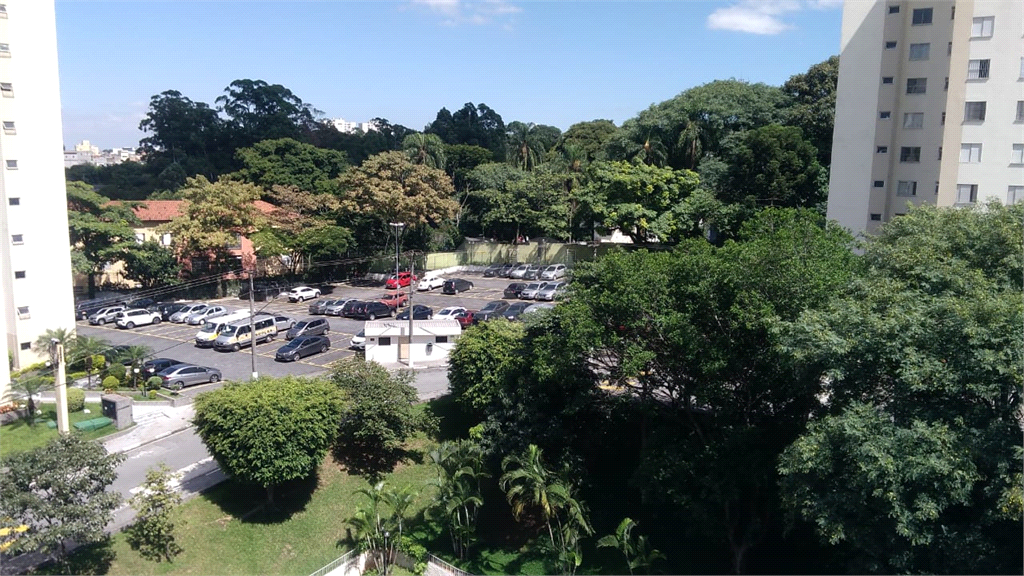 Venda Apartamento São Paulo Vila Nova Cachoeirinha REO318098 6