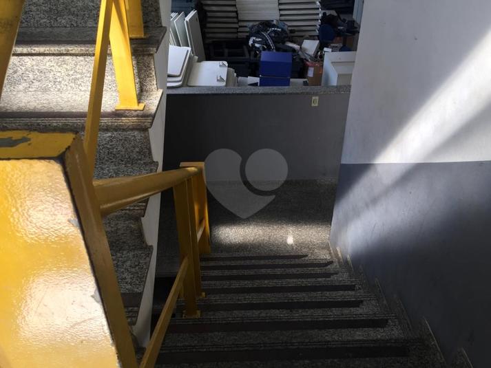 Foto REO318157