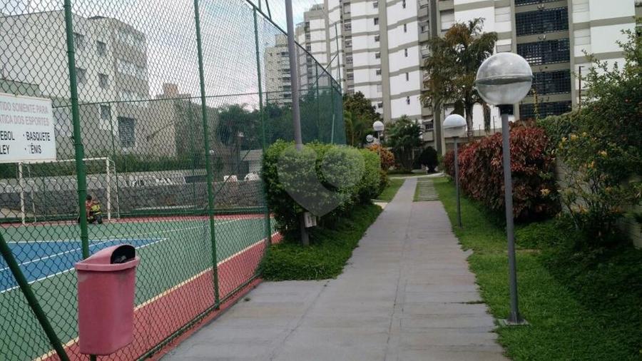 Foto REO318515
