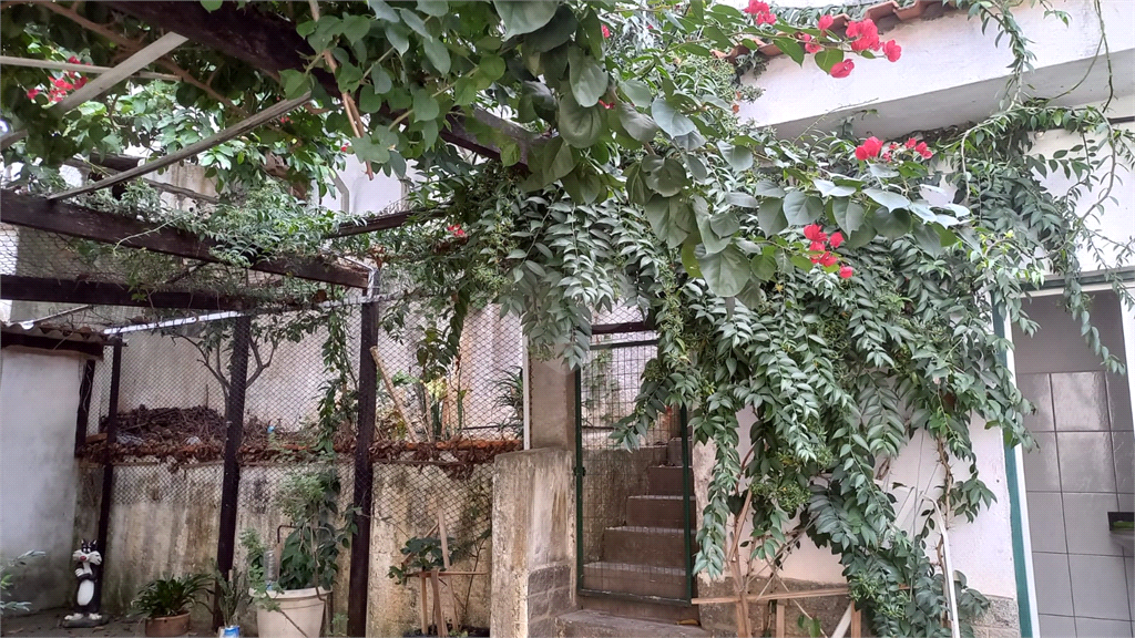 Venda Galpão São Paulo Vila Pereira Cerca REO319453 7