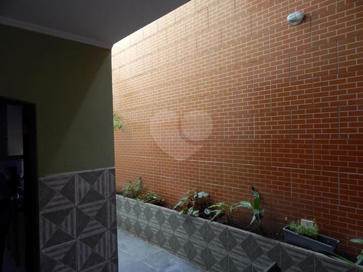 Foto REO319468