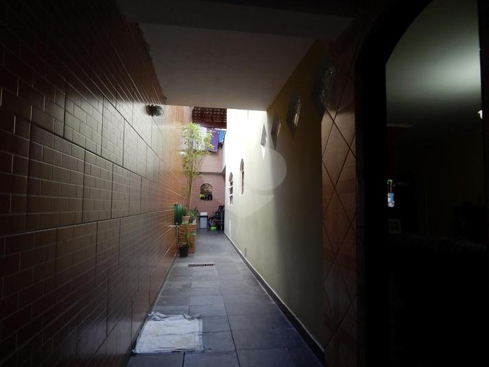 Foto REO319468
